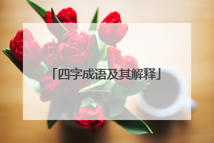 四字成语及其解释