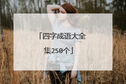 四字成语大全集250个
