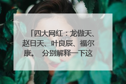四大网红：龙傲天、赵日天、叶良辰、福尔康。 分别解释一下这四个名字的来由。