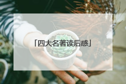 四大名著读后感