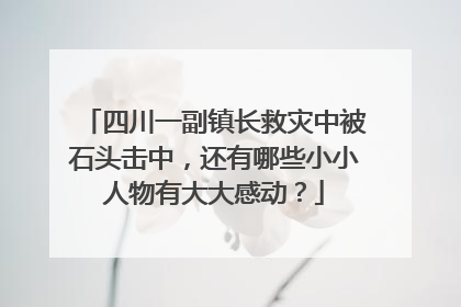 四川一副镇长救灾中被石头击中，还有哪些小小人物有大大感动？