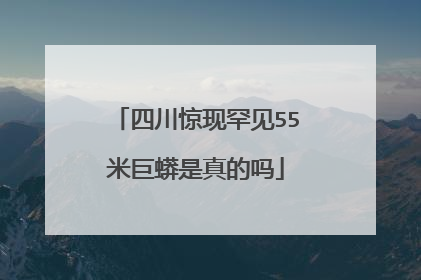 四川惊现罕见55米巨蟒是真的吗