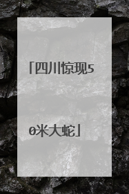 四川惊现50米大蛇