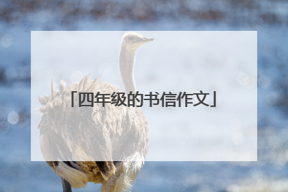 四年级的书信作文