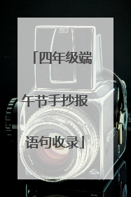 四年级端午节手抄报语句收录
