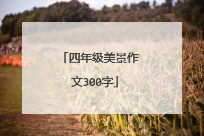 四年级美景作文300字