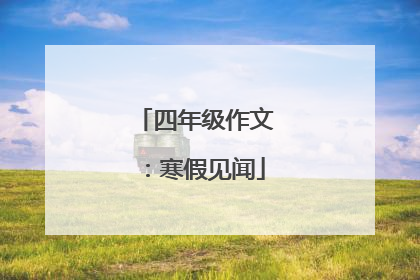 四年级作文:寒假见闻