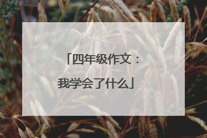 四年级作文：我学会了什么