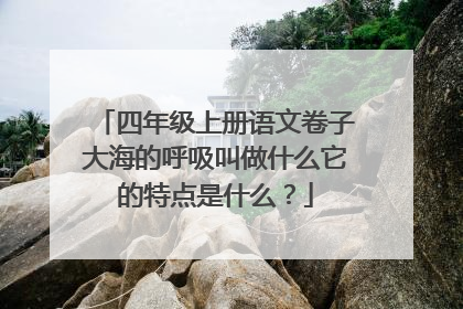 四年级上册语文卷子大海的呼吸叫做什么它的特点是什么?
