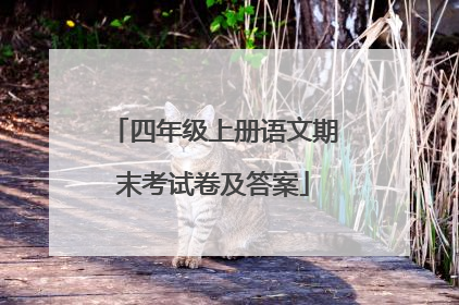 四年级上册语文期末考试卷及答案