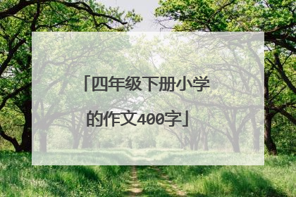 四年级下册小学的作文400字