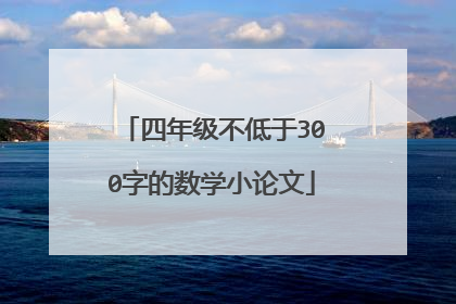 四年级不低于300字的数学小论文