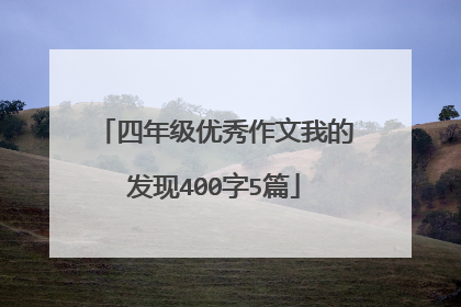 四年级优秀作文我的发现400字5篇