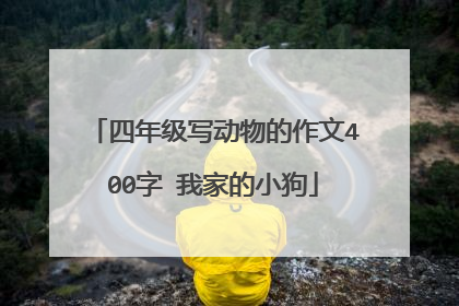 四年级写动物的作文400字 我家的小狗