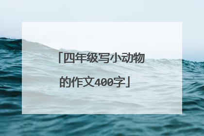 四年级写小动物的作文400字