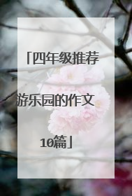 四年级推荐游乐园的作文10篇