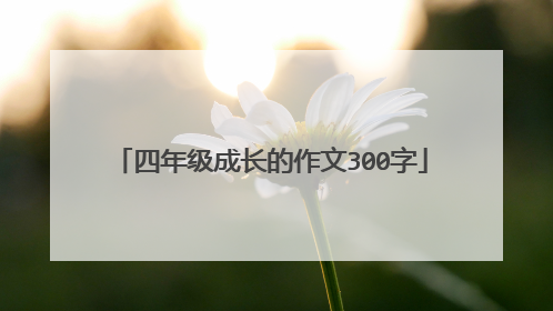 四年级成长的作文300字
