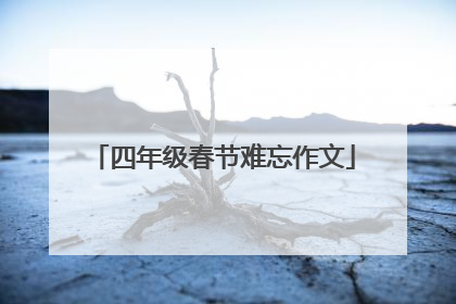 四年级春节难忘作文