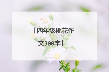 四年级桃花作文300字