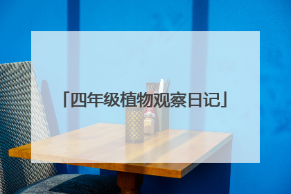 四年级植物观察日记