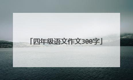 四年级语文作文300字