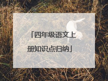 四年级语文上册知识点归纳