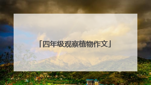 四年级观察植物作文