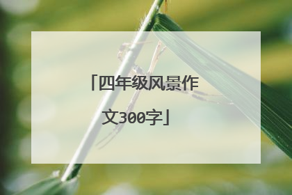 四年级风景作文300字