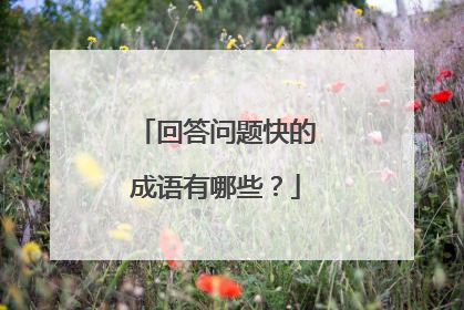 回答问题快的成语有哪些？