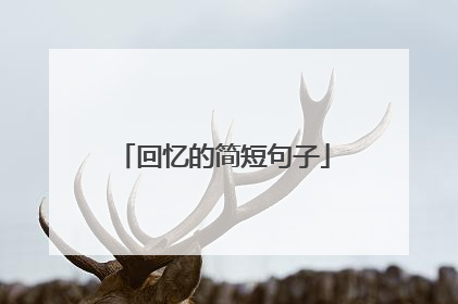 回忆的简短句子