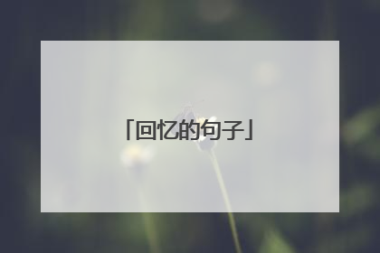 回忆的句子