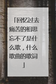 回忆过去痛苦的相思忘不了是什么歌，什么歌曲的歌词