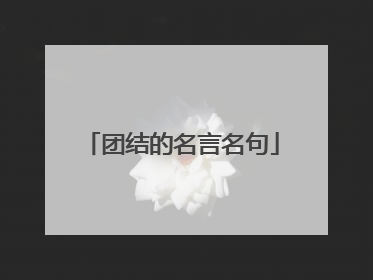 团结的名言名句