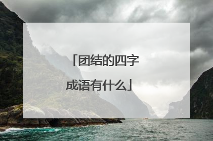 团结的四字成语有什么