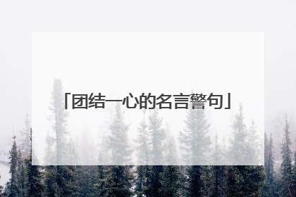 团结一心的名言警句