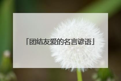 团结友爱的名言谚语