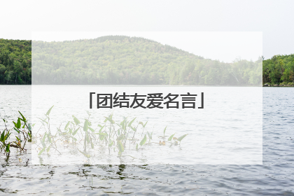 团结友爱名言