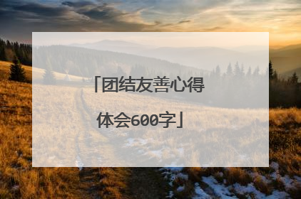 团结友善心得体会600字