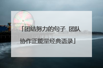 团结努力的句子 团队协作正能量经典语录