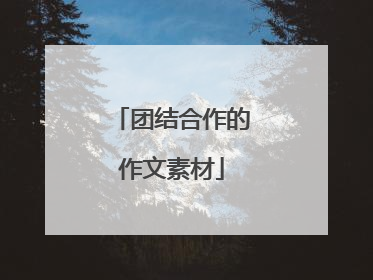 团结合作的作文素材