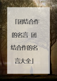 团结合作的名言 团结合作的名言大全