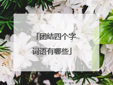 团结四个字词语有哪些