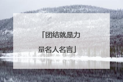 团结就是力量名人名言