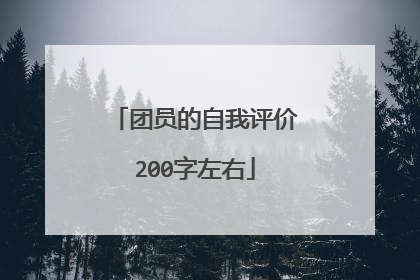 团员的自我评价200字左右