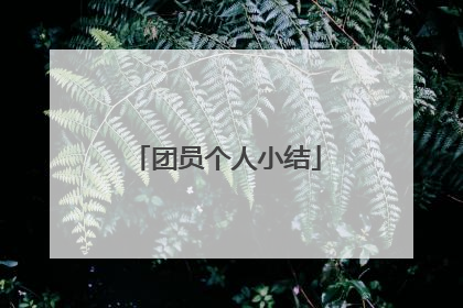 团员个人小结