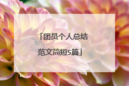 团员个人总结范文简短5篇