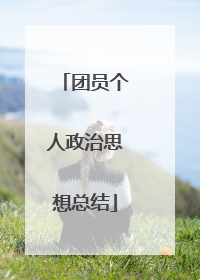 团员个人政治思想总结