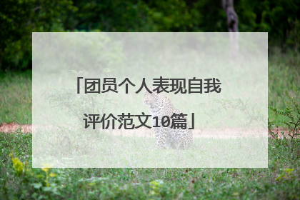 团员个人表现自我评价范文10篇