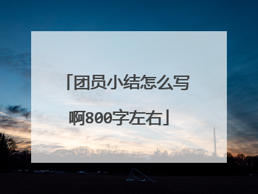 团员小结怎么写啊800字左右