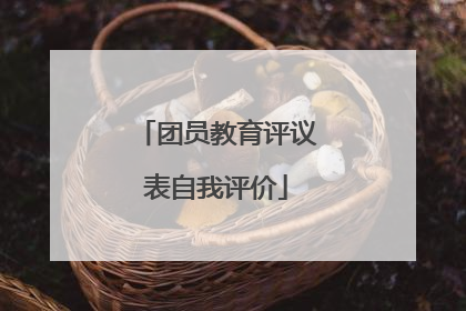 团员教育评议表自我评价